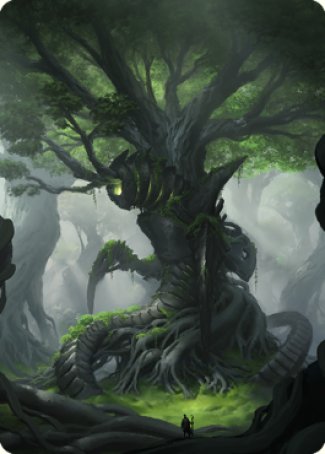 Forest Art Card [The Brothers' War Art Series] | Black Swamp Games