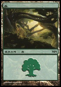 Forest - Zendikar Cycle [Magic Premiere Shop] | Black Swamp Games