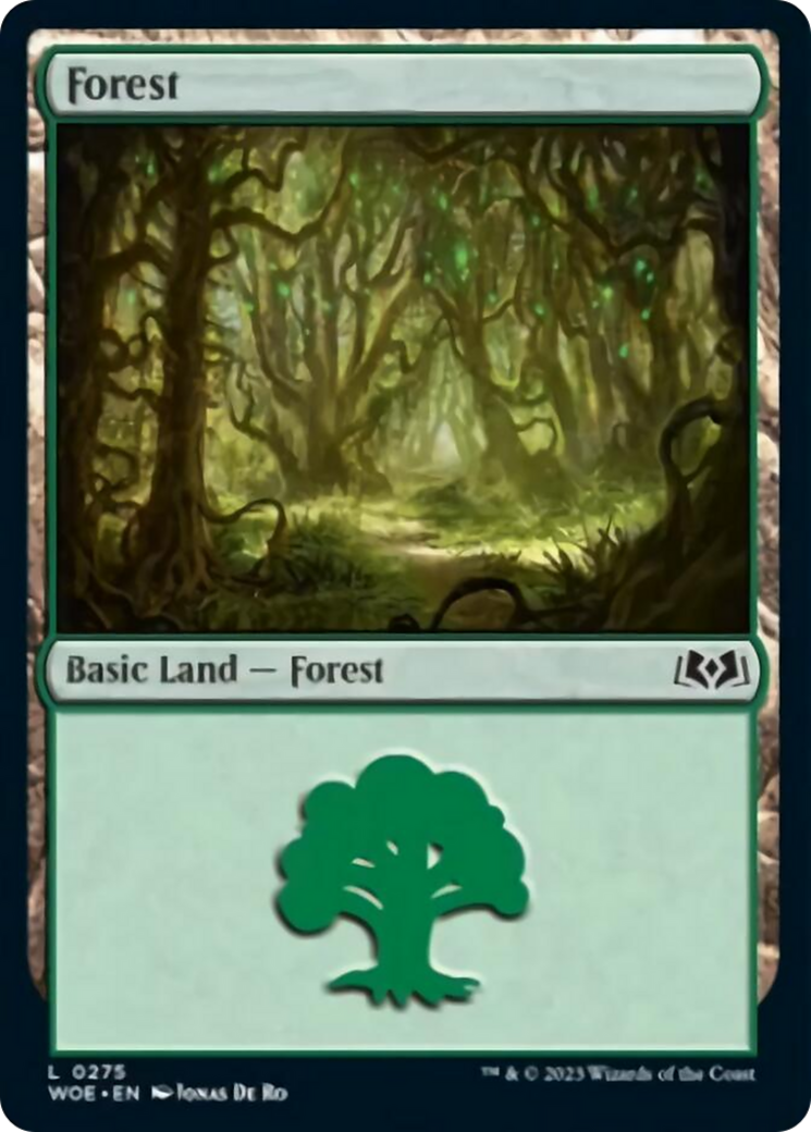 Forest (0275) [Wilds of Eldraine] | Black Swamp Games