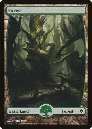 Forest (247) - Full Art [Zendikar] | Black Swamp Games