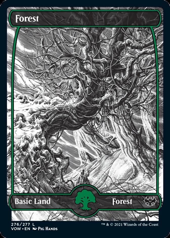 Forest (276) [Innistrad: Crimson Vow] | Black Swamp Games