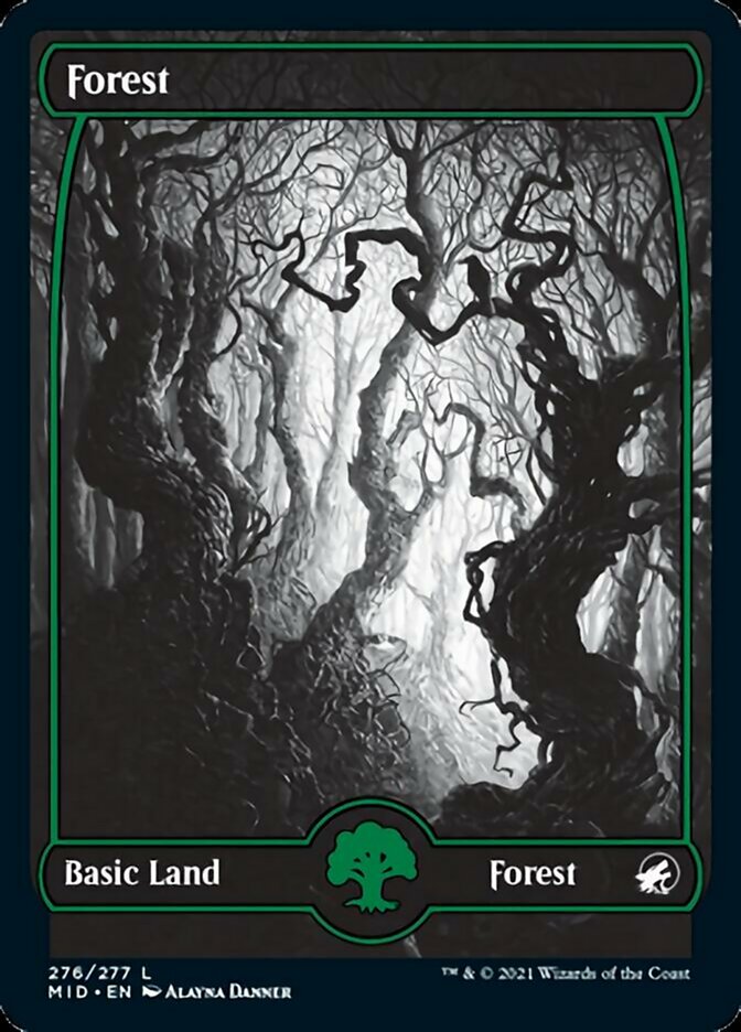 Forest (276) [Innistrad: Midnight Hunt] | Black Swamp Games