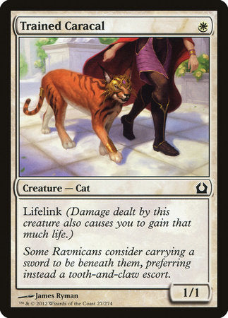 Trained Caracal [Return to Ravnica] | Black Swamp Games