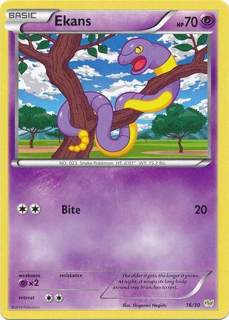 Ekans (16/30) [XY: Trainer Kit - Noivern] | Black Swamp Games