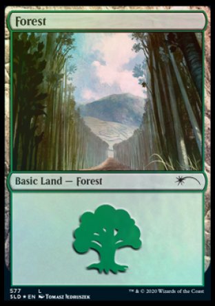 Forest (Walls) (577) [Secret Lair Drop Promos] | Black Swamp Games