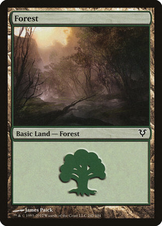 Forest (242) [Avacyn Restored] | Black Swamp Games