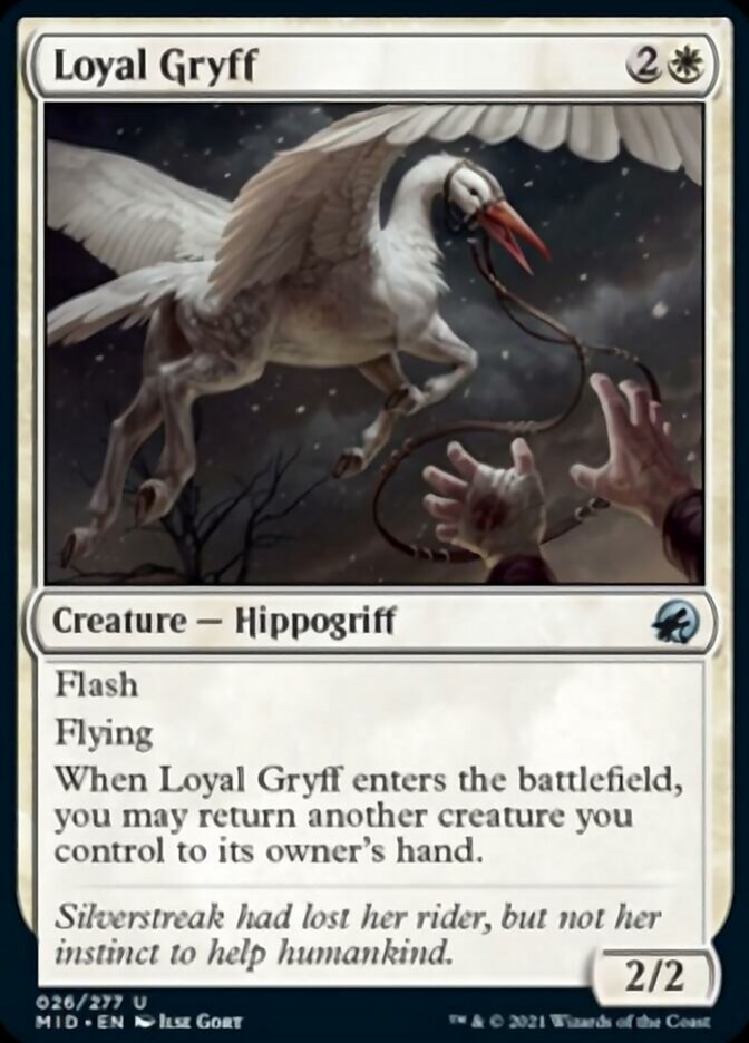 Loyal Gryff [Innistrad: Midnight Hunt] | Black Swamp Games