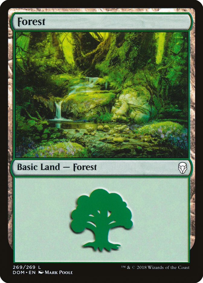 Forest (269) [Dominaria] | Black Swamp Games