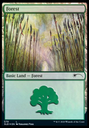 Forest (Elves) (579) [Secret Lair Drop Promos] | Black Swamp Games