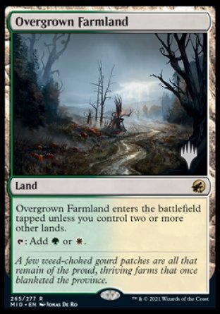 Overgrown Farmland (Promo Pack) [Innistrad: Midnight Hunt Promos] | Black Swamp Games