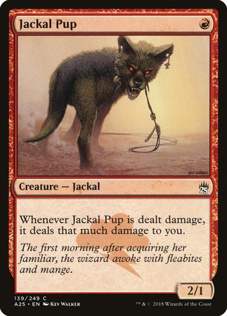 Jackal Pup [Masters 25] | Black Swamp Games