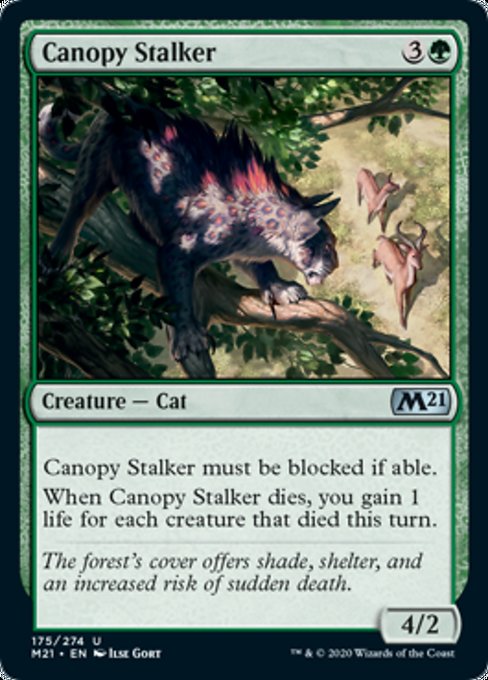 Canopy Stalker [Core Set 2021] | Black Swamp Games