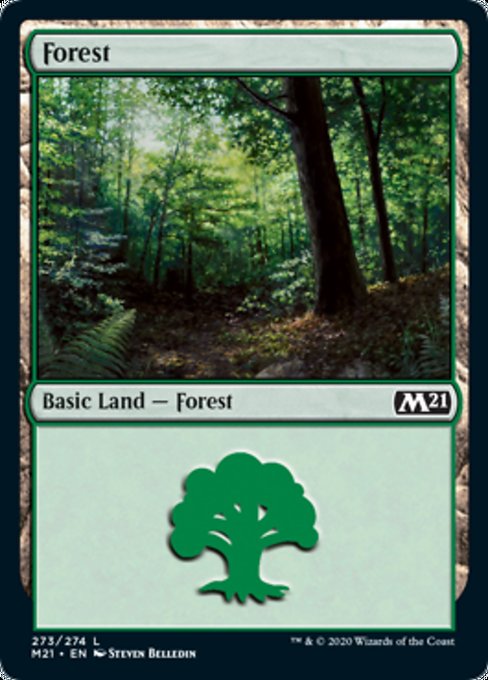 Forest (273) [Core Set 2021] | Black Swamp Games