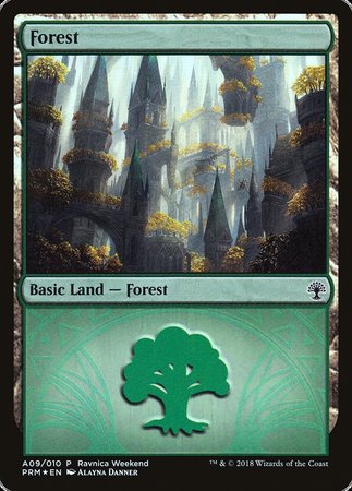 Forest - Selesnya (A09) [GRN Ravnica Weekend] | Black Swamp Games