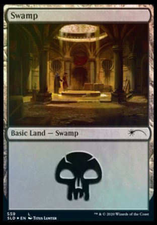 Swamp (Rogues) (559) [Secret Lair Drop Promos] | Black Swamp Games