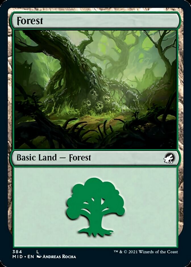 Forest (384) [Innistrad: Midnight Hunt] | Black Swamp Games