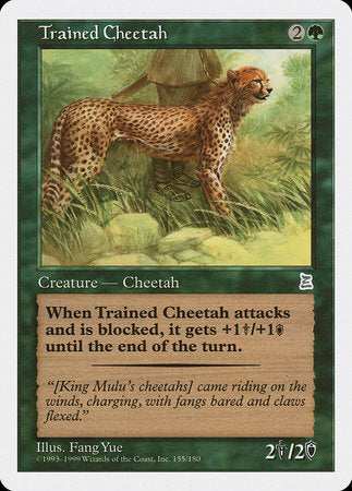 Trained Cheetah [Portal Three Kingdoms] | Black Swamp Games