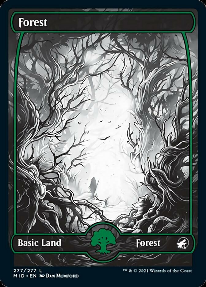 Forest (277) [Innistrad: Midnight Hunt] | Black Swamp Games