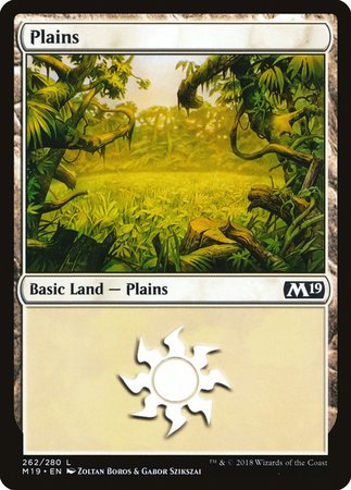 Plains (262) [Core Set 2019] | Black Swamp Games