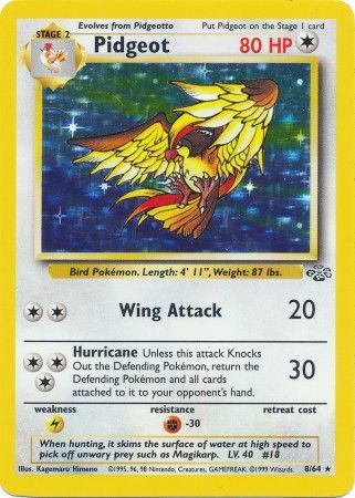 Pidgeot (8/64) [Jungle Unlimited] | Black Swamp Games