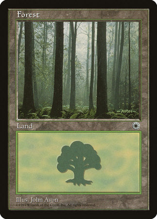 Forest (Ferns on Ground) [Portal] | Black Swamp Games