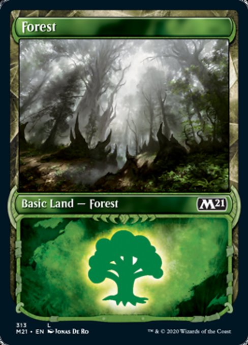 Forest (Showcase) [Core Set 2021] | Black Swamp Games