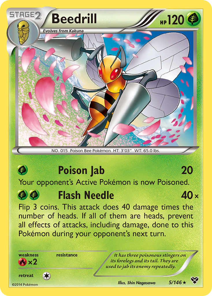 Beedrill (5/146) [XY: Base Set] | Black Swamp Games