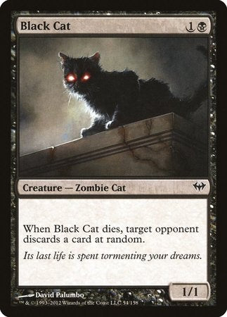 Black Cat [Dark Ascension] | Black Swamp Games