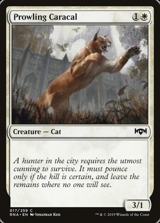 Prowling Caracal [Ravnica Allegiance] | Black Swamp Games