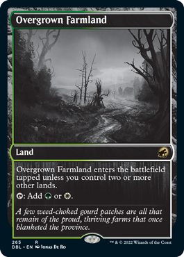 Overgrown Farmland [Innistrad: Double Feature] | Black Swamp Games