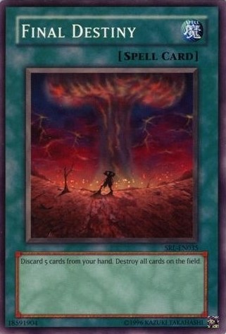 Final Destiny [SRL-EN035] Common | Black Swamp Games