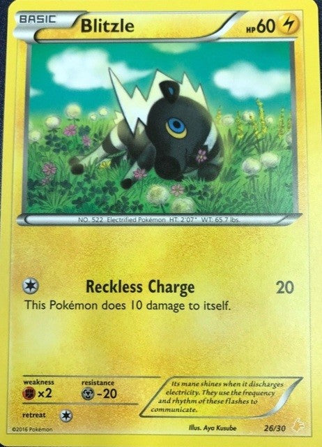 Blitzle (26/30) [XY: Trainer Kit 3 - Pikachu Libre] | Black Swamp Games