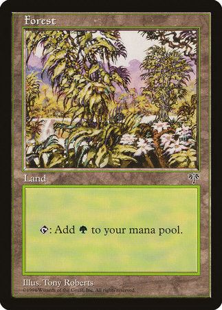 Forest (White Flowers Right) [Mirage] | Black Swamp Games
