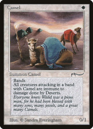 Camel [Arabian Nights] | Black Swamp Games