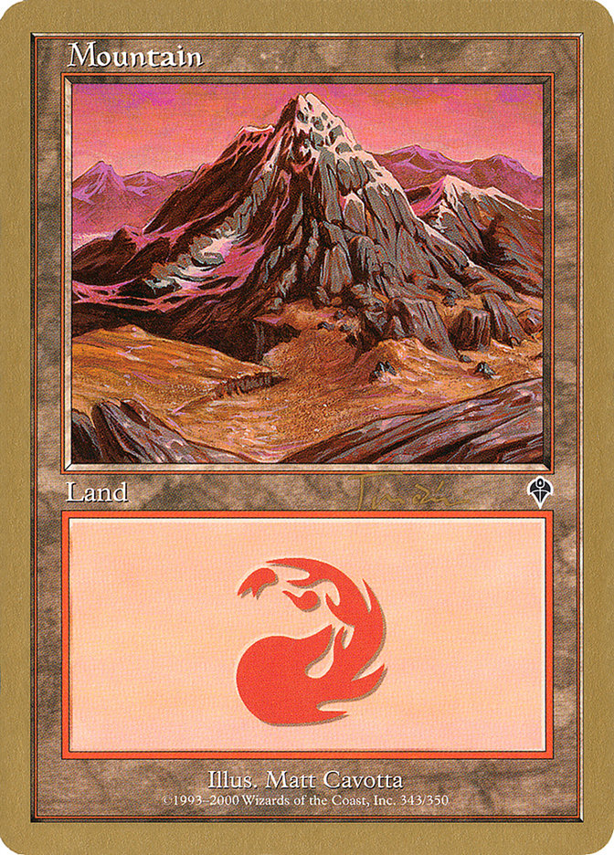 Mountain (jt343a) (Jan Tomcani) (INV) [World Championship Decks 2001] | Black Swamp Games