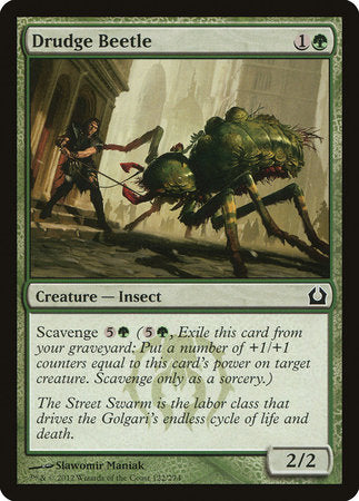 Drudge Beetle [Return to Ravnica] | Black Swamp Games