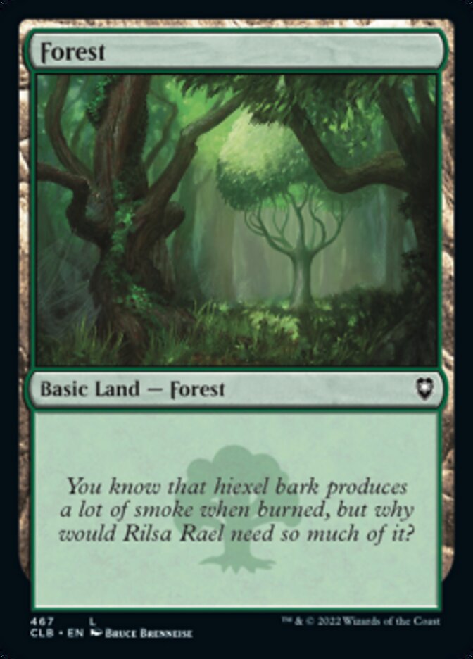 Forest (467) [Commander Legends: Battle for Baldur's Gate] | Black Swamp Games