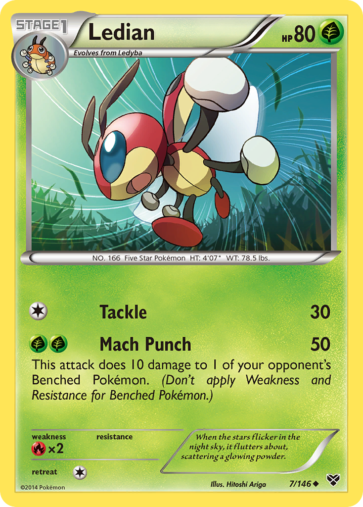 Ledian (7/146) [XY: Base Set] | Black Swamp Games