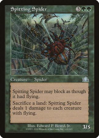 Spitting Spider [Prophecy] | Black Swamp Games