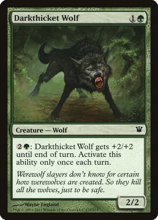 Darkthicket Wolf [Innistrad] | Black Swamp Games