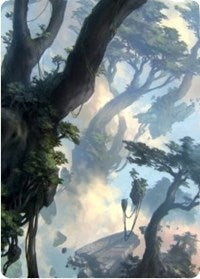 Forest 1 Art Card [Zendikar Rising Art Series] | Black Swamp Games